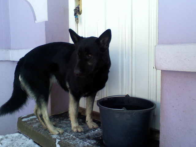 122009135410.jpg