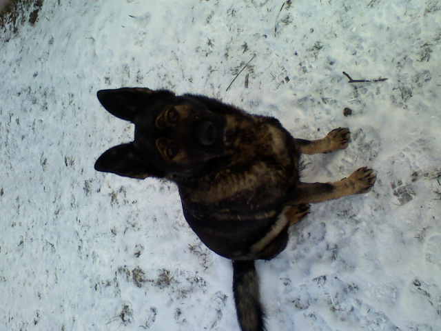 122009135726.jpg