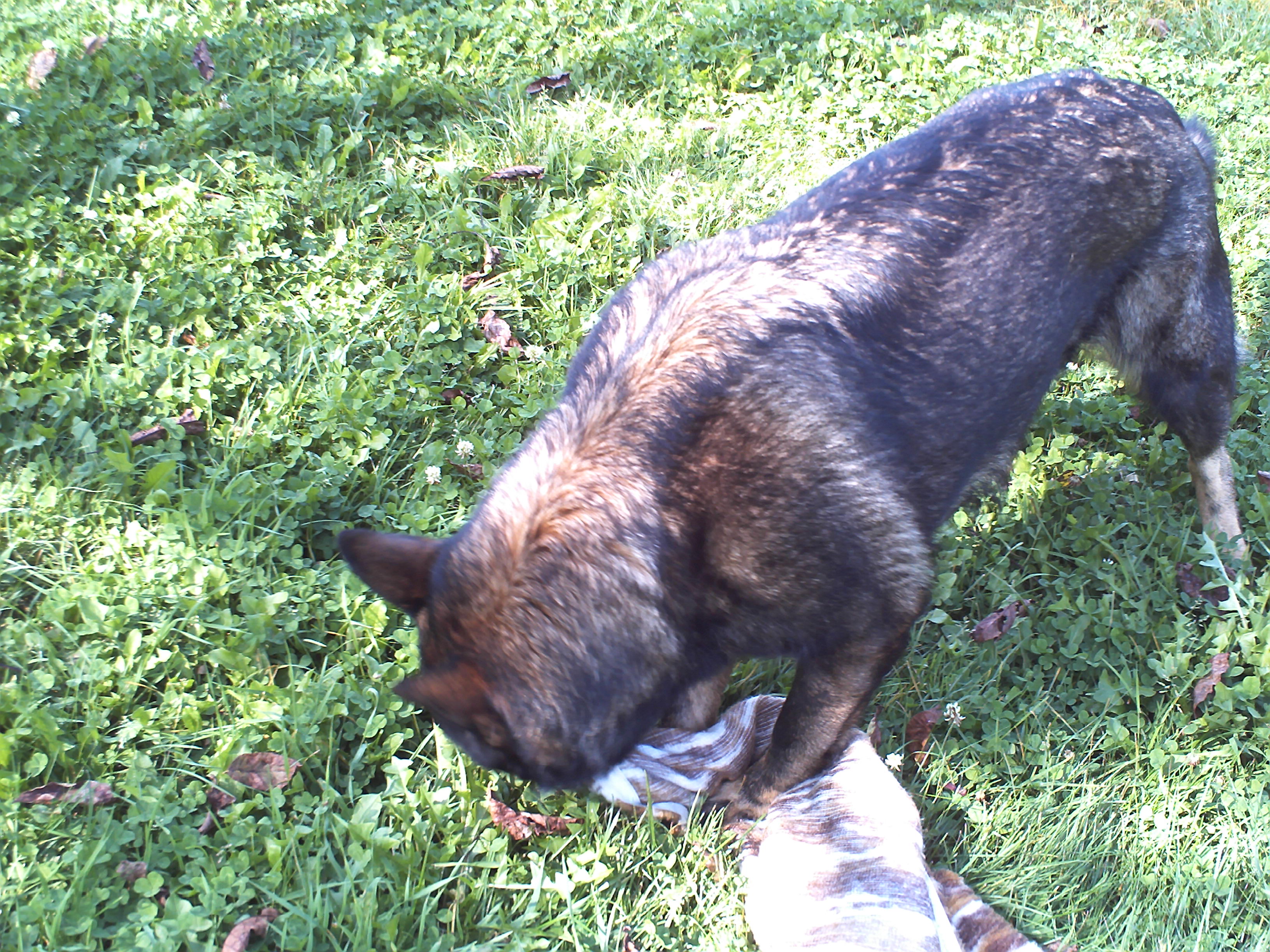 PICT0075.JPG