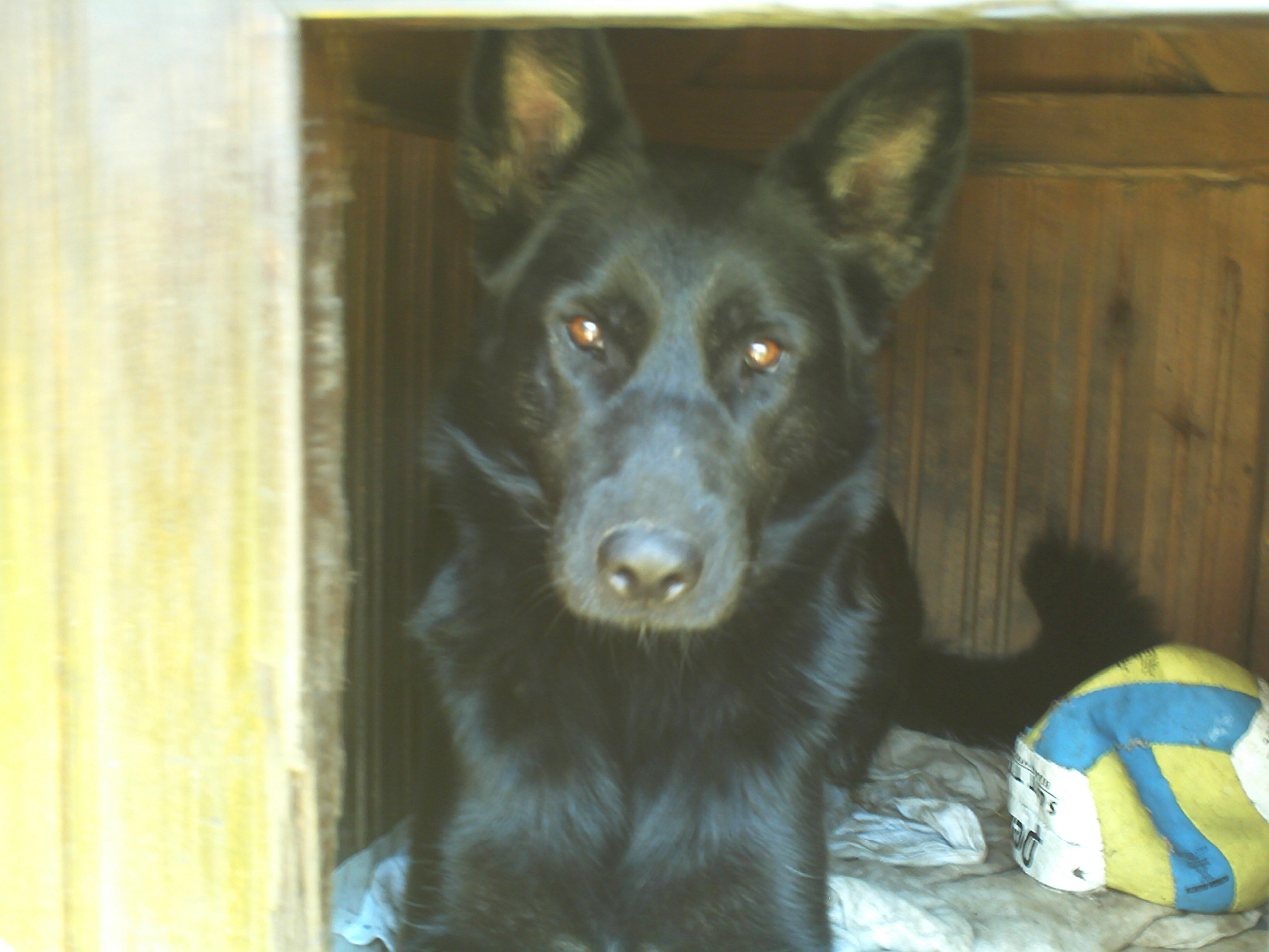PICT0079.JPG
