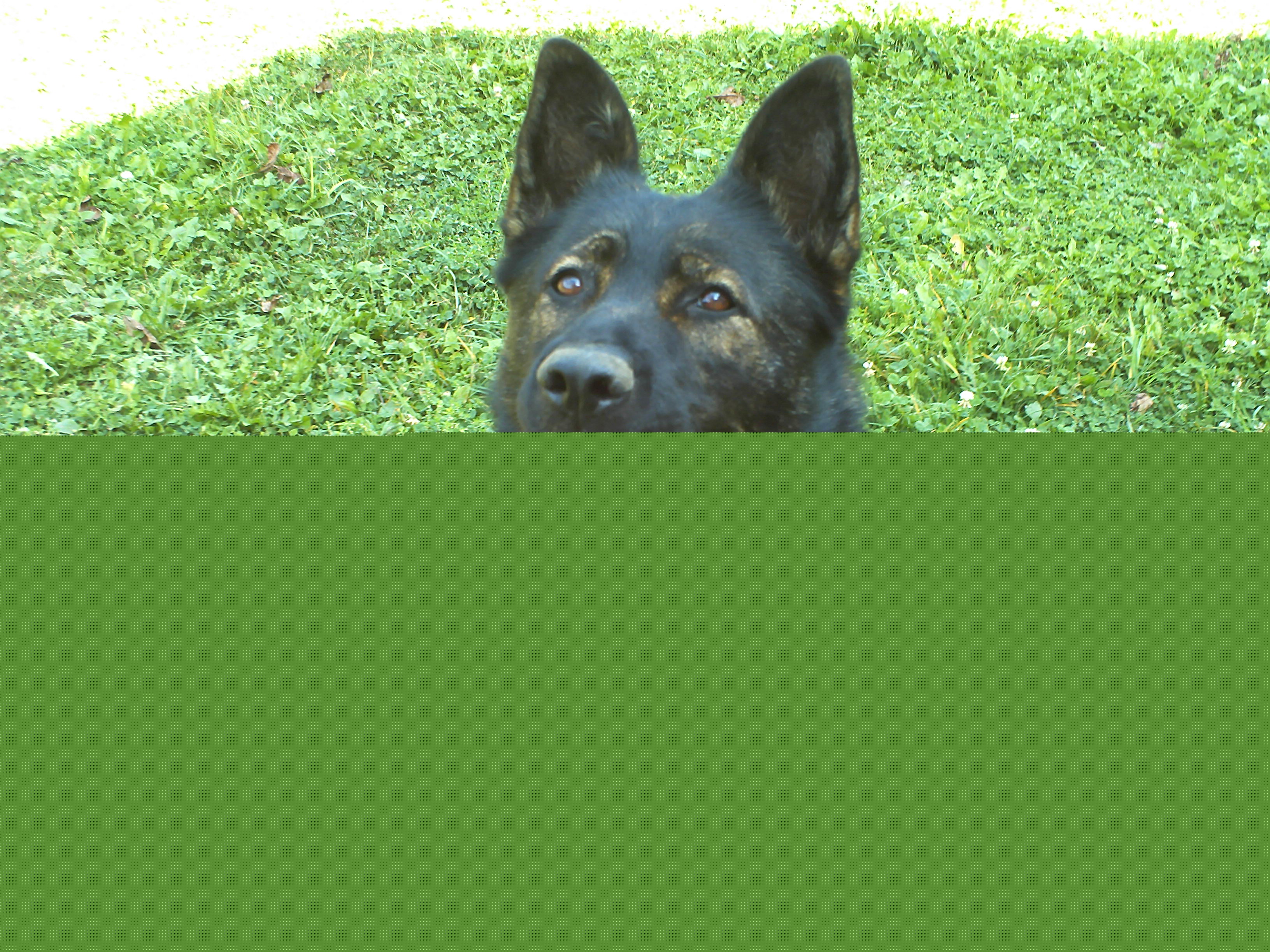 PICT0086.JPG