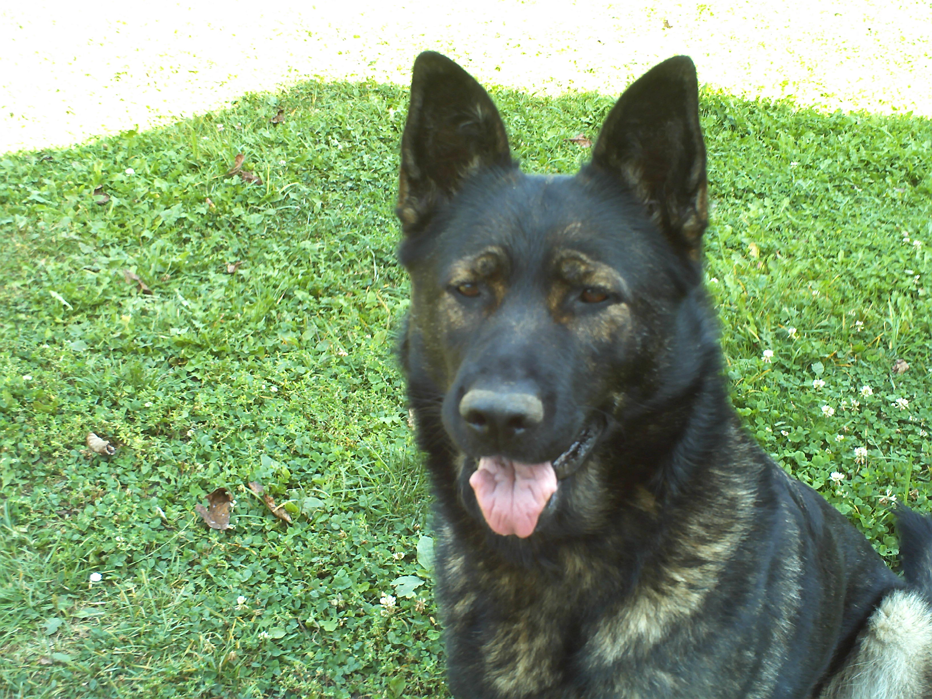 PICT0088.JPG