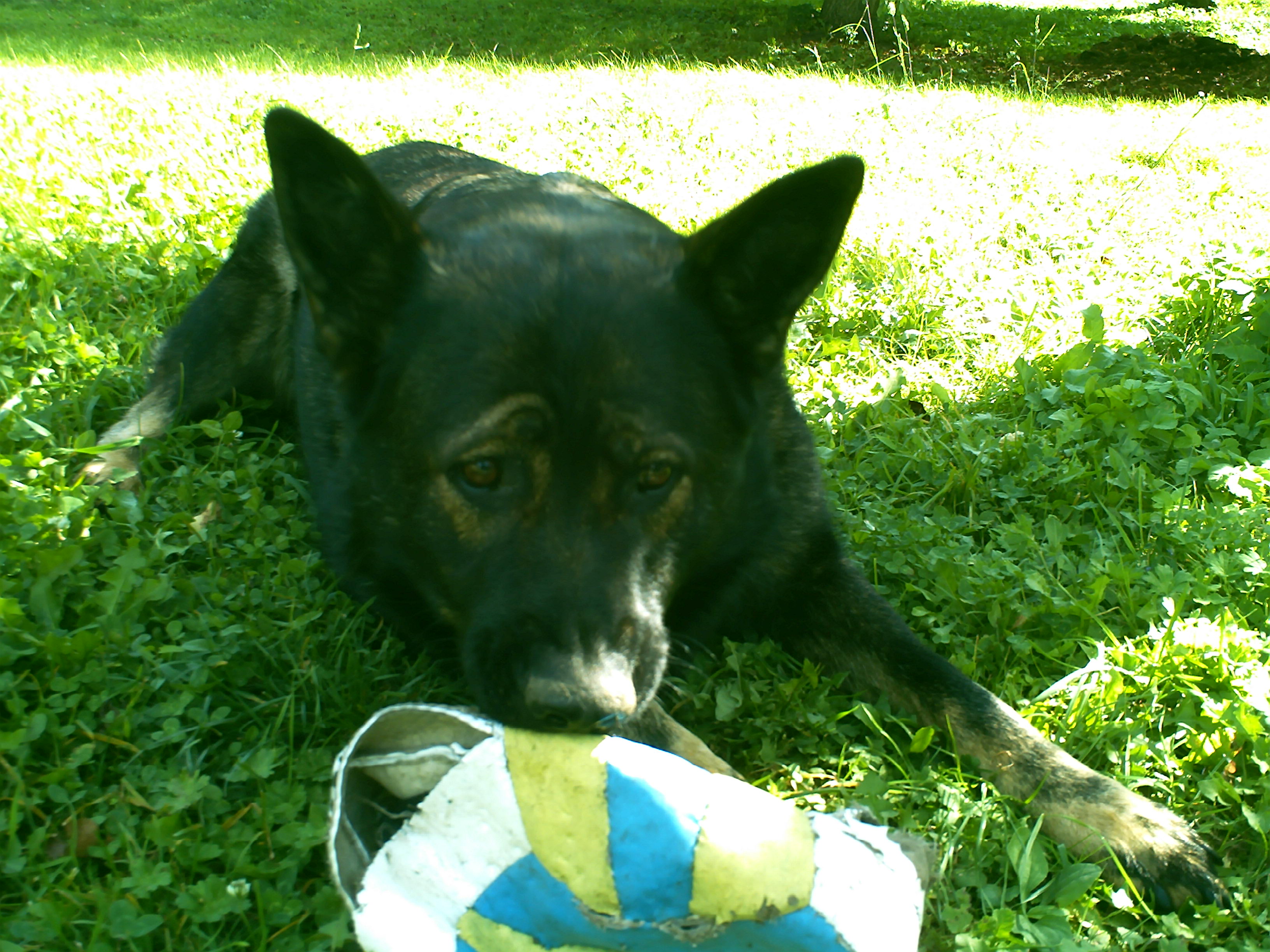 PICT0089.JPG