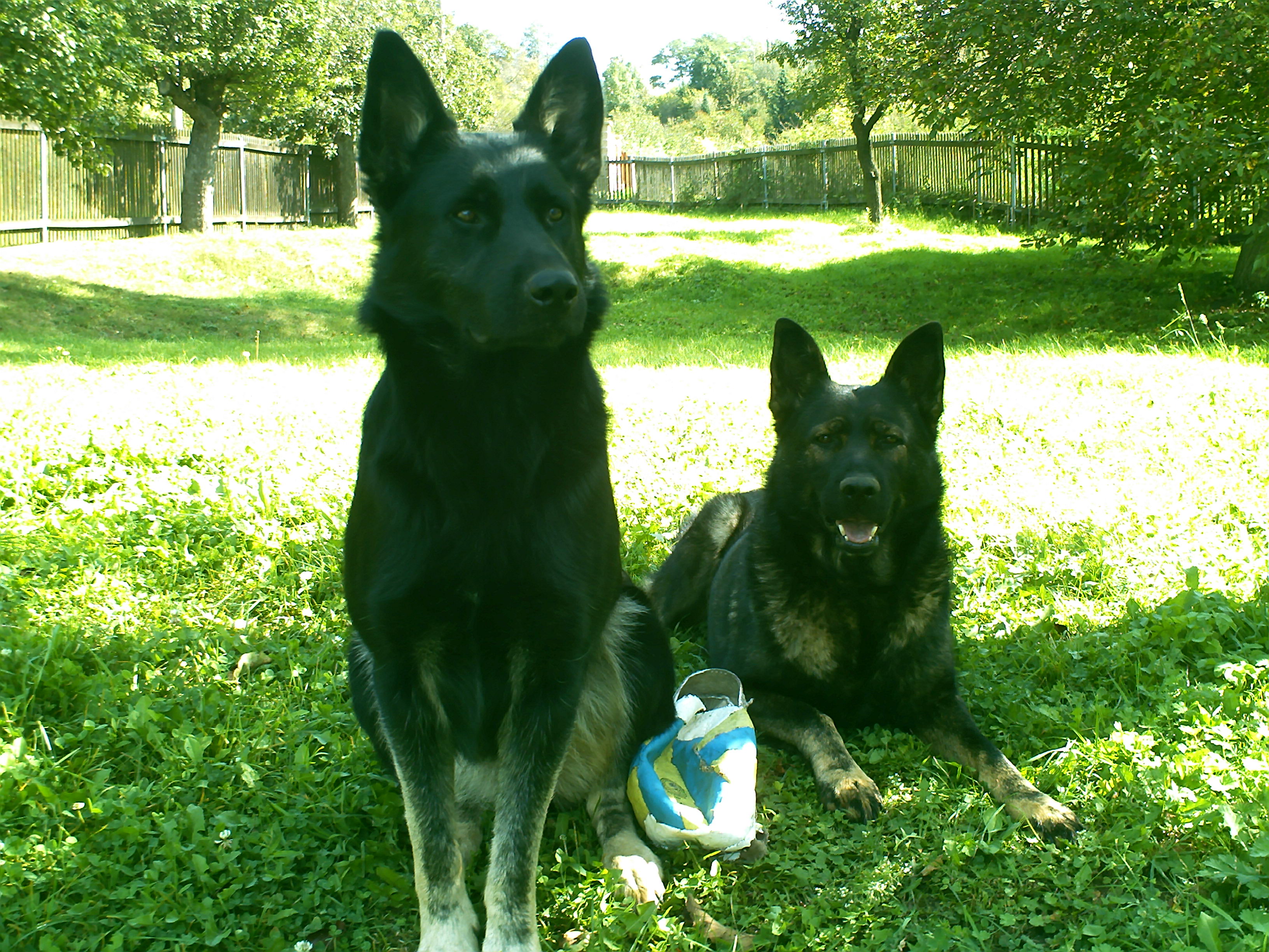 PICT0090.JPG