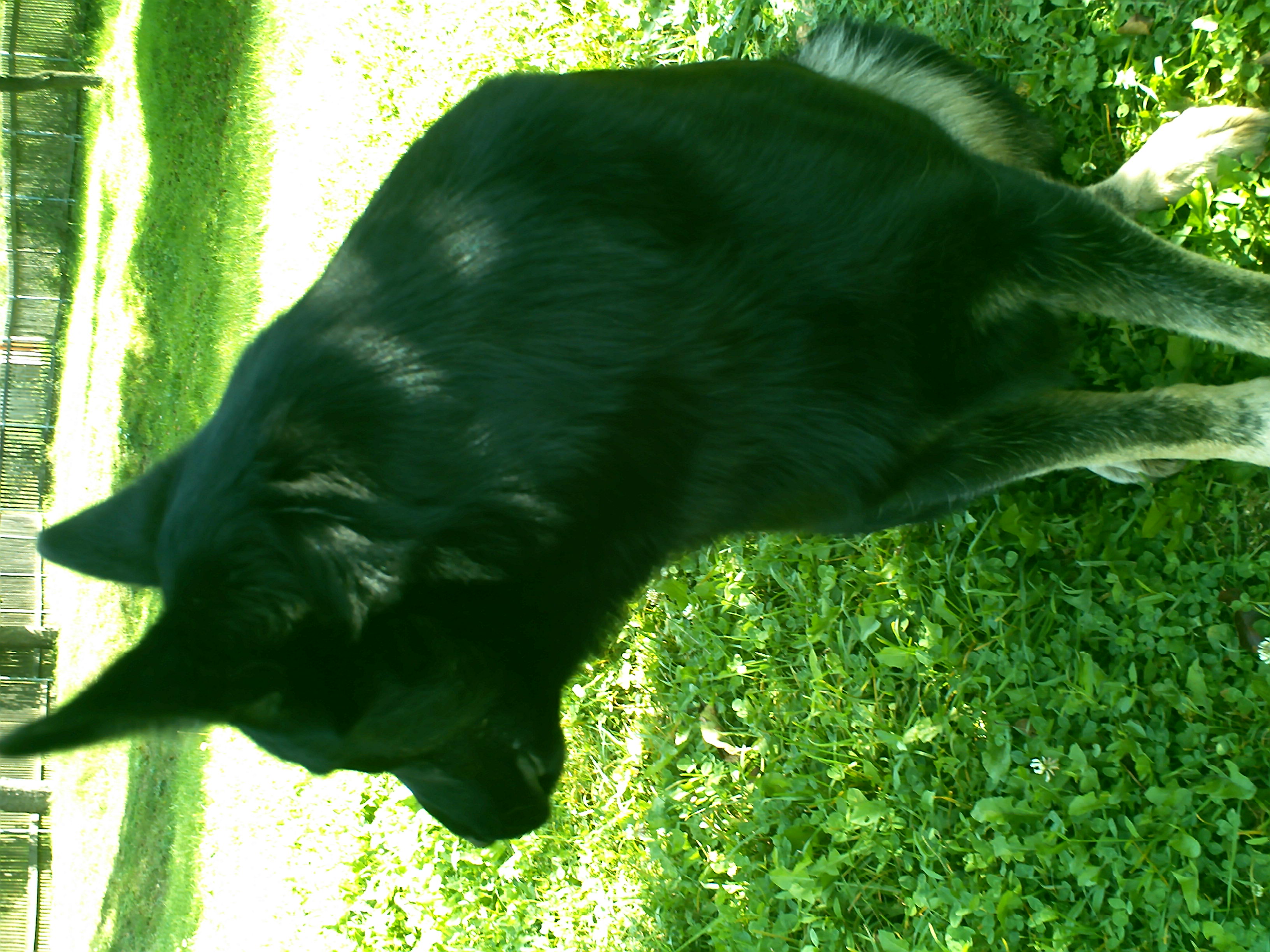 PICT0091.JPG