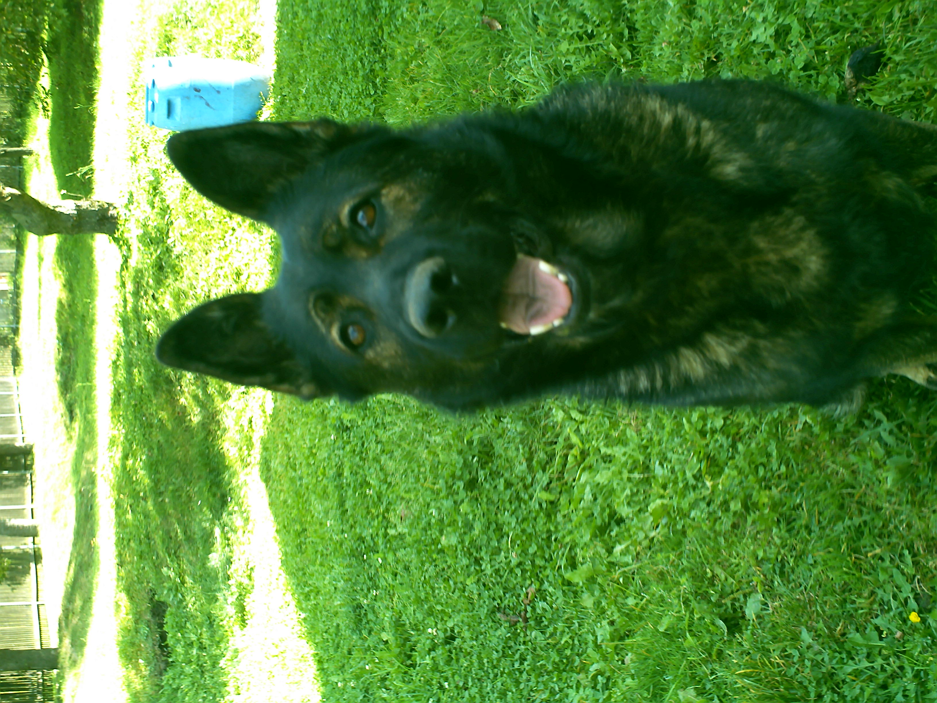 PICT0093.JPG