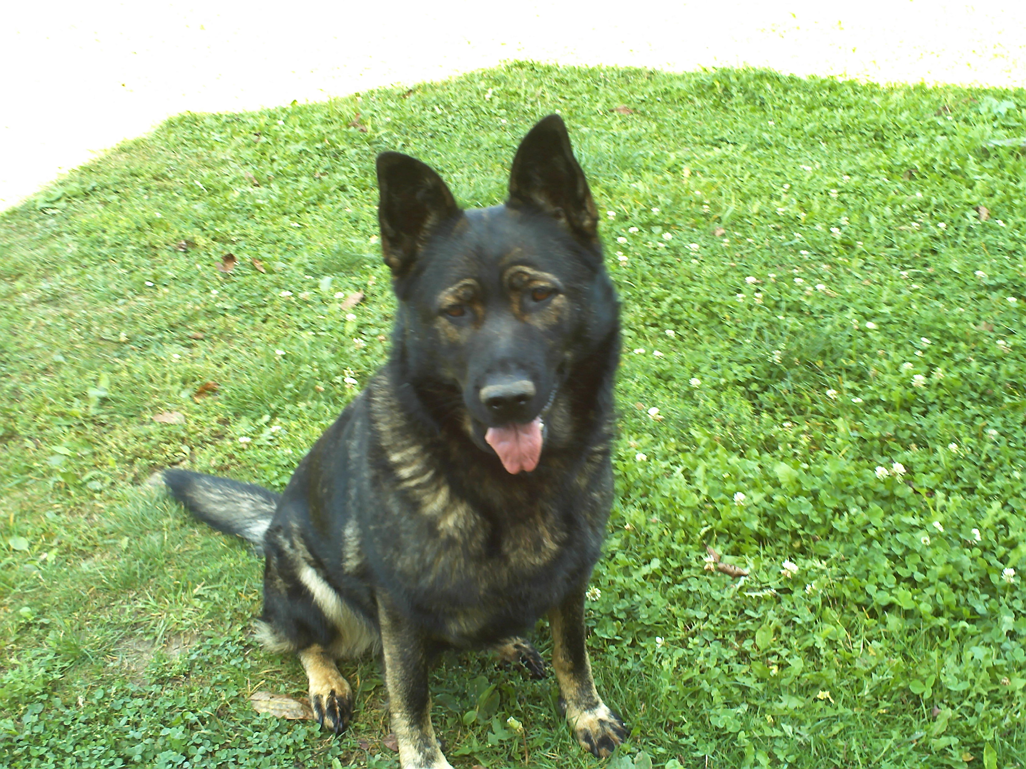 PICT0100.JPG